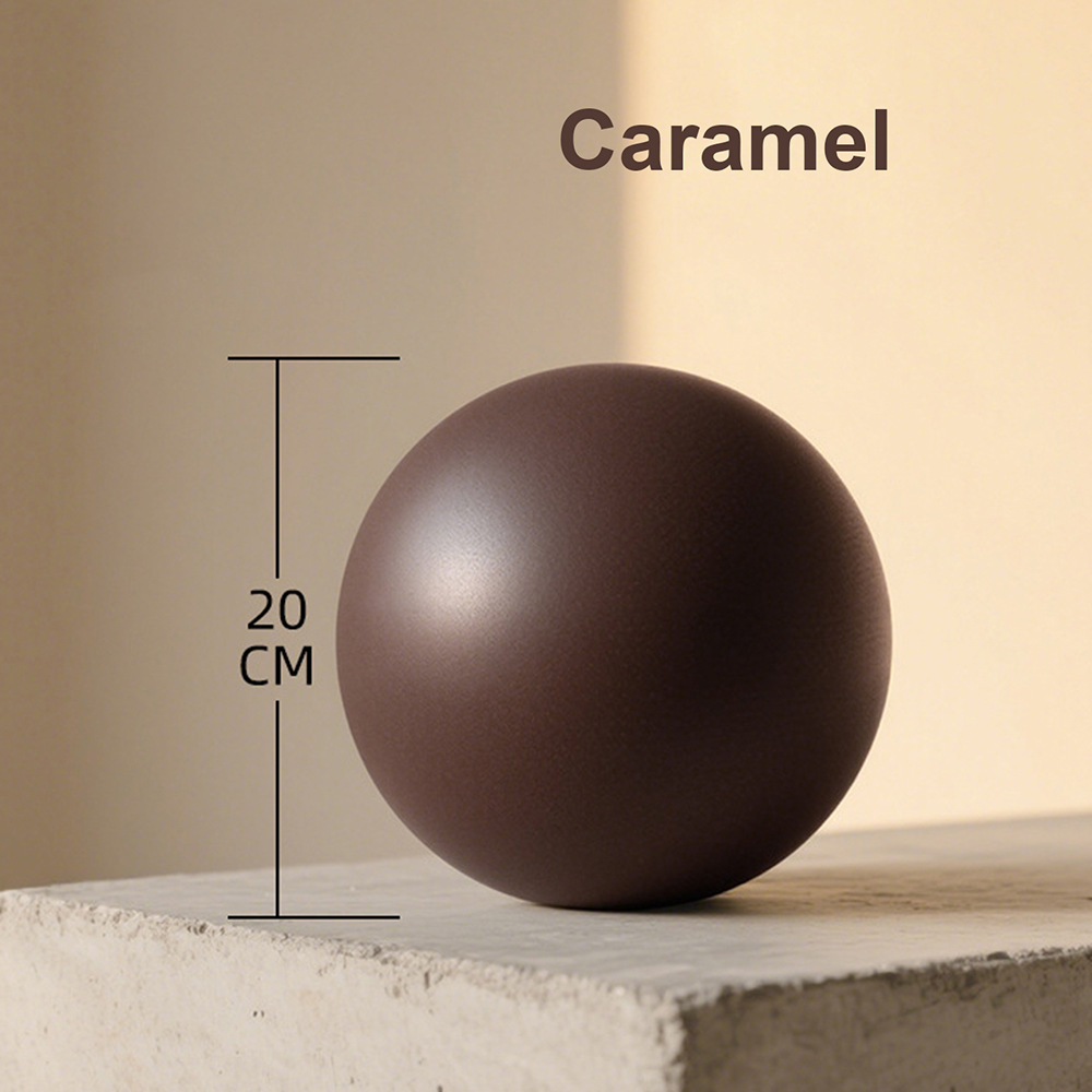 20cm Matte Exercise Ball Barre - Pilates Yoga Matte ulasan dan harga